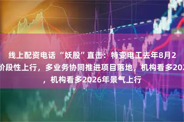 线上配资电话 “妖股”直击：特变电工去年8月21日启动以来阶段性上行，多业务协同推进项目落地，机构看多2026年景气上行