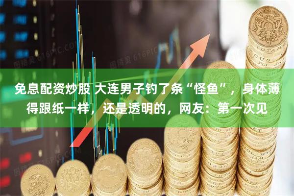 免息配资炒股 大连男子钓了条“怪鱼”，身体薄得跟纸一样，还是透明的，网友：第一次见